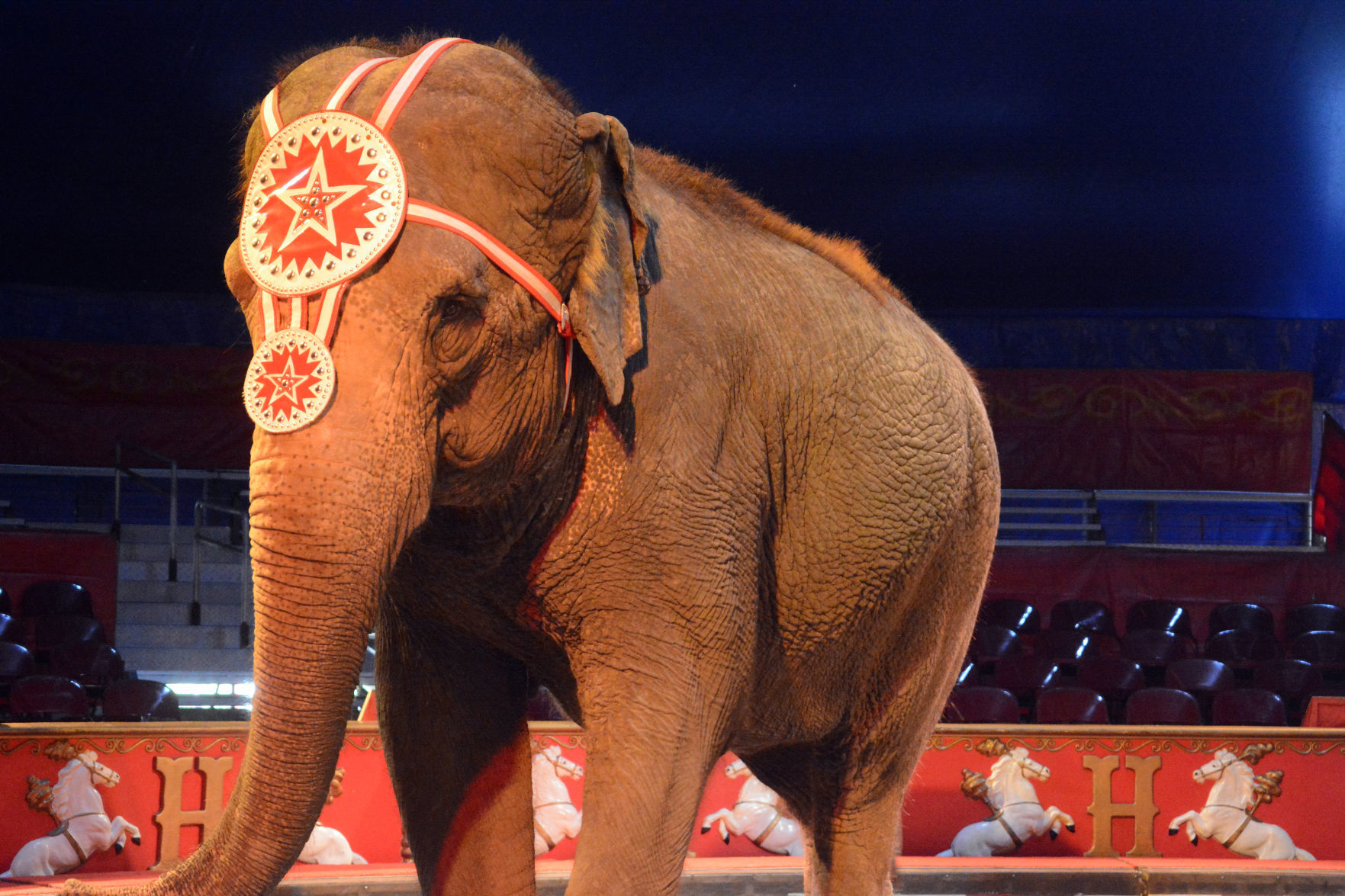 051918-bara-news-circus28